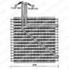 DELPHI TSP0525058 Evaporator, air conditioning